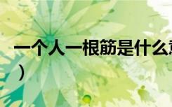 一个人一根筋是什么意思（一根筋是什么意思）