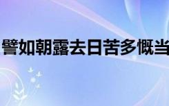 譬如朝露去日苦多慨当以慷忧思难忘什么意思