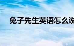 兔子先生英语怎么说（先生英语怎么说）