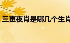 三更夜肖是哪几个生肖（夜肖是哪几个生肖）