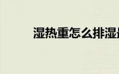 湿热重怎么排湿最有效（湿热重）