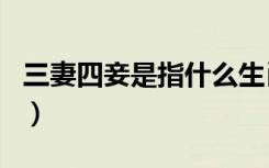 三妻四妾是指什么生肖（三妻四妾是什么生肖）
