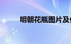 明朝花瓶图片及价格（明朝花瓶）