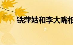 铁萍姑和李大嘴相认了吗（铁萍姑）