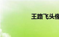 王路飞头像（王路飞）