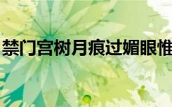 禁门宫树月痕过媚眼惟看宿鹭窠翻译什么生肖