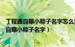 丁程鑫自曝小粽子名字怎么找他是我的抖音好友呢（丁程鑫自曝小粽子名字）