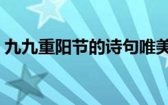 九九重阳节的诗句唯美（九九重阳节的诗句）