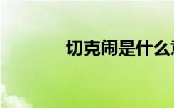 切克闹是什么意思（切克闹）