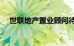 世联地产置业顾问待遇（世联地产待遇）