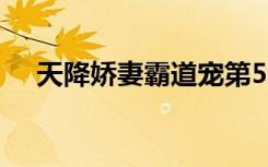 天降娇妻霸道宠第503章（天降俏娇妻）