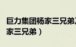 巨力集团杨家三兄弟及子女关系（巨力集团杨家三兄弟）
