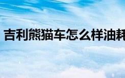 吉利熊猫车怎么样油耗高不高（吉利熊猫车）