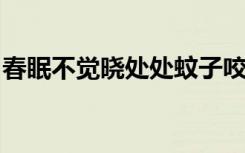 春眠不觉晓处处蚊子咬夜来大狗熊谁也跑不了
