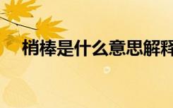 梢棒是什么意思解释（梢棒是什么意思）