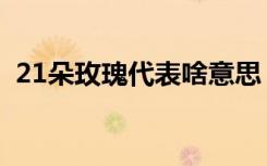 21朵玫瑰代表啥意思（21朵玫瑰代表什么）