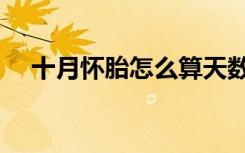 十月怀胎怎么算天数（十月怀胎怎么算）