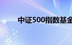 中证500指数基金（中证500指数）