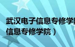 武汉电子信息专修学院自考办电话（武汉电子信息专修学院）