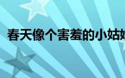 春天像个害羞的小姑娘仿写句子春天像什么