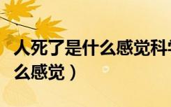 人死了是什么感觉科学解释知乎（人死了是什么感觉）