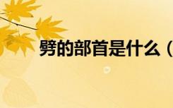 劈的部首是什么（皮的部首是什么）