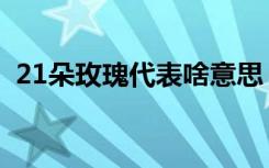 21朵玫瑰代表啥意思（21朵玫瑰代表什么）