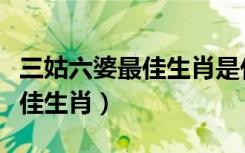 三姑六婆最佳生肖是什么（三姑六婆打一个最佳生肖）