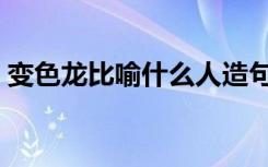 变色龙比喻什么人造句（变色龙比喻什么人）