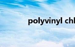 polyvinyl chloride leather