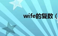 wife的复数（shelf的复数）