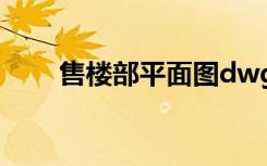 售楼部平面图dwg（售楼部平面图）