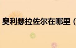 奥利瑟拉佐尔在哪里（奥利瑟拉佐尔的子嗣）