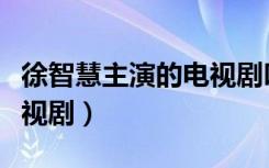 徐智慧主演的电视剧叫什么（徐智慧主演的电视剧）