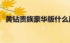 黄钻贵族豪华版什么用（黄钻贵族豪华版）