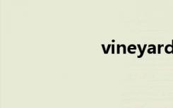 vineyard（Vinet）