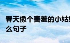 春天像个害羞的小姑娘遮遮掩掩躲躲藏藏是什么句子