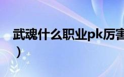 武魂什么职业pk厉害（武魂什么职业pk厉害）