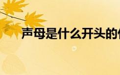 声母是什么开头的什么（声母是什么）