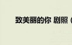 致美丽的你 剧照（致美丽的你演员）