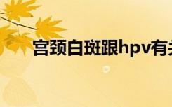 宫颈白斑跟hpv有关系吗（宫颈白斑）