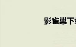 影雀巢下载（影雀）
