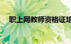 职上网教师资格证培训怎么样（职上网）