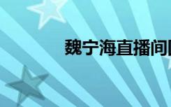 魏宁海直播间回放（魏宁海）