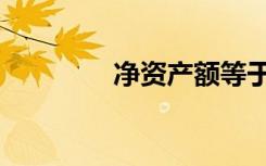 净资产额等于（净资产额）