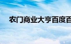 农门商业大亨百度百科（农门商业大亨）