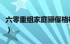 六零重组家庭骊偃格格党（六零重组家庭骊偃）