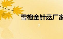 雪榕金针菇厂家（雪榕金针菇）