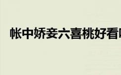帐中娇妾六喜桃好看吗（帐中娇妾六喜桃）