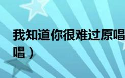 我知道你很难过原唱mv（我知道你很难过原唱）
